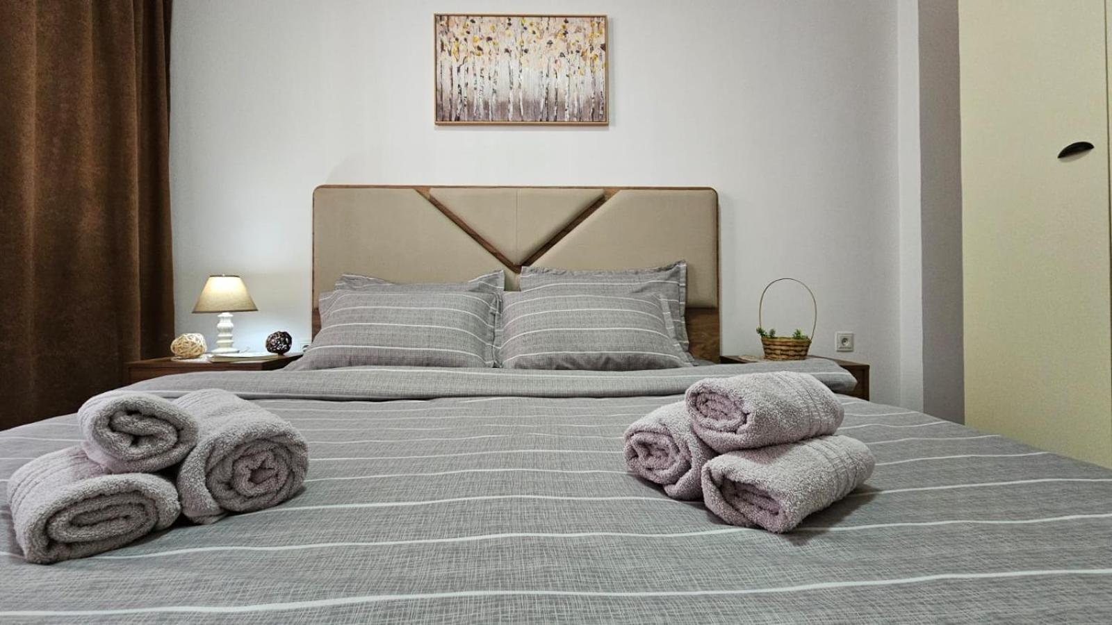Superb 1 Bedroom In The Best Zone Of The City. Ferizaj Extérieur photo
