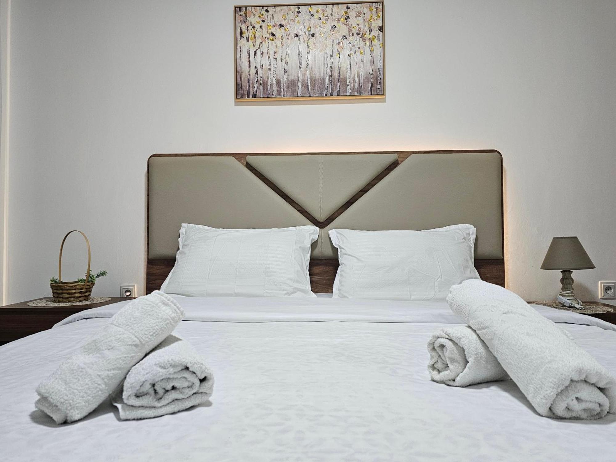 Superb 1 Bedroom In The Best Zone Of The City. Ferizaj Extérieur photo